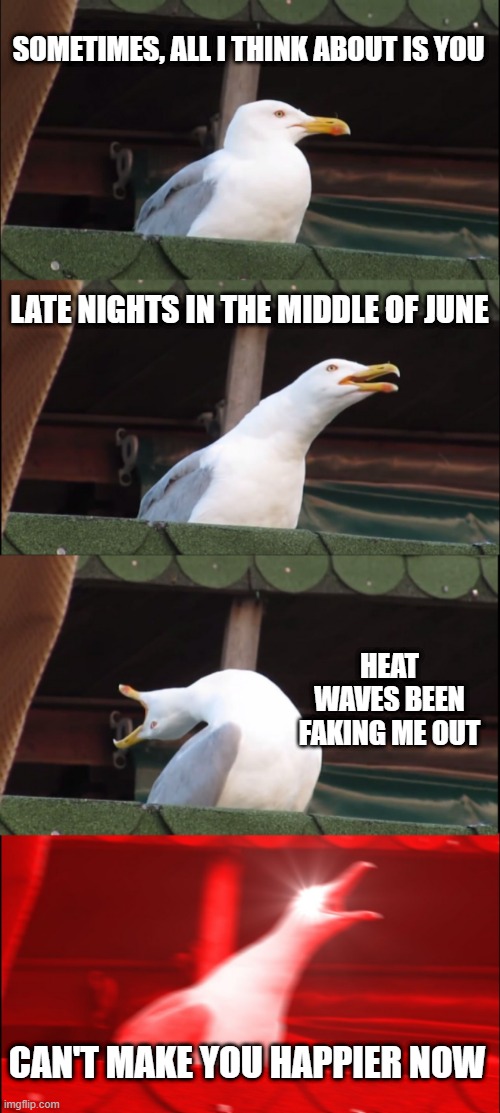 Glass Animals |  SOMETIMES, ALL I THINK ABOUT IS YOU; LATE NIGHTS IN THE MIDDLE OF JUNE; HEAT WAVES BEEN FAKING ME OUT; CAN'T MAKE YOU HAPPIER NOW | image tagged in memes,inhaling seagull | made w/ Imgflip meme maker