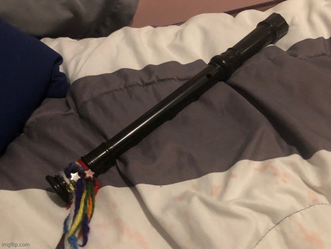 why am i posting a picture of my recorder?? i don't know :D | made w/ Imgflip meme maker
