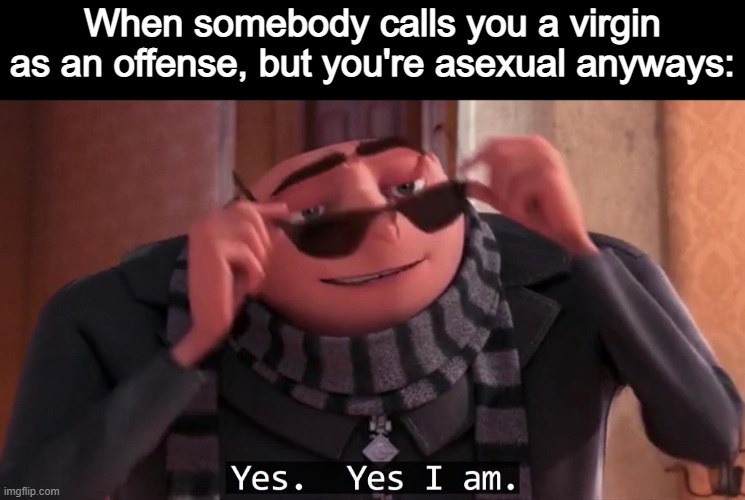You're not wrong ¯\_(ツ)_/¯ | Virginity is Cool; Remain Pure my fellow asexuals. | When somebody calls you a virgin as an offense, but you're asexual anyways: | image tagged in gru yes yes i am,asexual,lgbtq,virginity,a mythical tag,random tag i decided to put | made w/ Imgflip meme maker