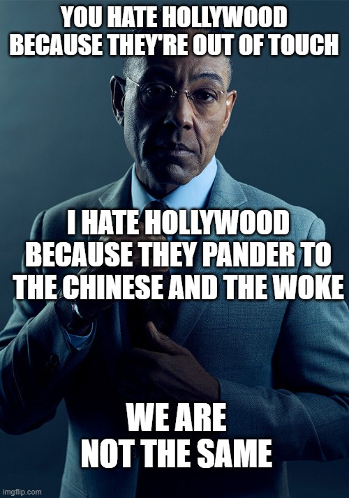 Gus Fring we are not the same | YOU HATE HOLLYWOOD BECAUSE THEY'RE OUT OF TOUCH; I HATE HOLLYWOOD BECAUSE THEY PANDER TO THE CHINESE AND THE WOKE; WE ARE NOT THE SAME | image tagged in gus fring we are not the same | made w/ Imgflip meme maker