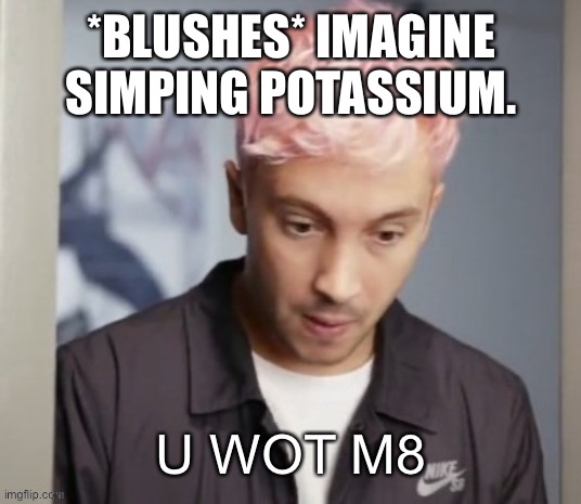 I would never betray the chlorine | *BLUSHES* IMAGINE SIMPING POTASSIUM. | image tagged in tyler joseph u wot m8 | made w/ Imgflip meme maker