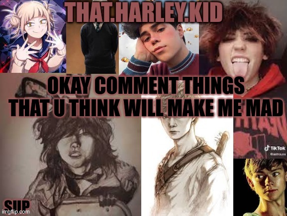 harley temp 2.0 | OKAY COMMENT THINGS THAT U THINK WILL MAKE ME MAD | image tagged in harley temp 2 0 | made w/ Imgflip meme maker