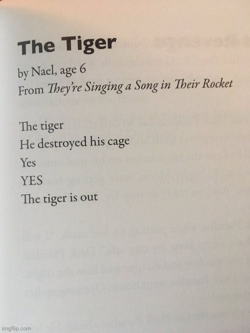 The tiger | image tagged in the tiger | made w/ Imgflip meme maker