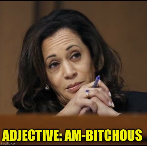 Kamala Harris  | ADJECTIVE: AM-BITCHOUS | image tagged in kamala harris | made w/ Imgflip meme maker
