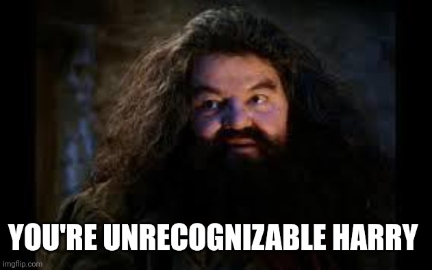 hagrid yer a wizard | YOU'RE UNRECOGNIZABLE HARRY | image tagged in hagrid yer a wizard | made w/ Imgflip meme maker