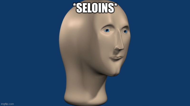 mem man | *SELOINS* | image tagged in mem man | made w/ Imgflip meme maker