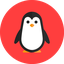 TUM PGDP pinguin Meme Template