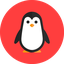 TUM PGDP pinguin Blank Meme Template