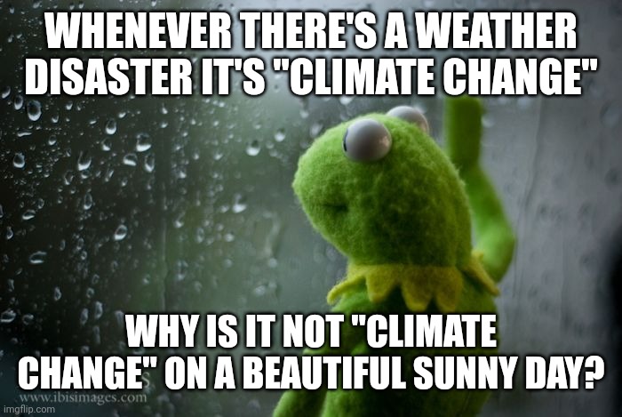 kermit window | WHENEVER THERE'S A WEATHER DISASTER IT'S "CLIMATE CHANGE"; WHY IS IT NOT "CLIMATE CHANGE" ON A BEAUTIFUL SUNNY DAY? | image tagged in kermit window | made w/ Imgflip meme maker