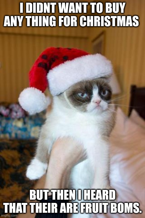 Grumpy Cat Christmas Meme | I DIDNT WANT TO BUY ANY THING FOR CHRISTMAS; BUT THEN I HEARD THAT THEIR ARE FRUIT BOMS. | image tagged in memes,grumpy cat christmas,grumpy cat | made w/ Imgflip meme maker