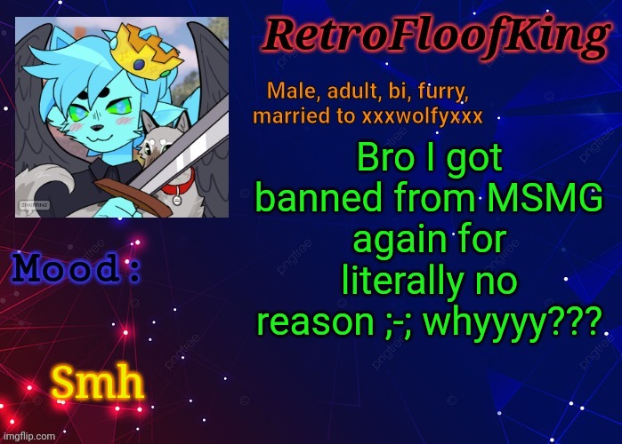 Seriously though, why? | Bro I got banned from MSMG again for literally no reason ;-; whyyyy??? Smh | image tagged in retrofloofking official announcement template | made w/ Imgflip meme maker