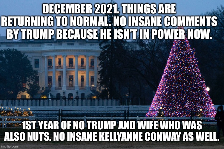 Christmas 2021. Best year ever. | DECEMBER 2021. THINGS ARE RETURNING TO NORMAL. NO INSANE COMMENTS BY TRUMP BECAUSE HE ISN’T IN POWER NOW. 1ST YEAR OF NO TRUMP AND WIFE WHO WAS ALSO NUTS. NO INSANE KELLYANNE CONWAY AS WELL. | image tagged in donald trump approves,sanity,christmas,joe biden,christmas tree | made w/ Imgflip meme maker