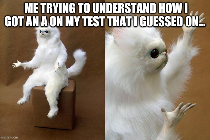 IDK_WTF_THIS_IS | ME TRYING TO UNDERSTAND HOW I GOT AN A ON MY TEST THAT I GUESSED ON... | image tagged in memes,persian cat room guardian | made w/ Imgflip meme maker