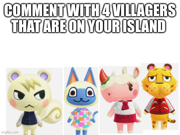 Comment pls | COMMENT WITH 4 VILLAGERS THAT ARE ON YOUR ISLAND | image tagged in blank white template | made w/ Imgflip meme maker