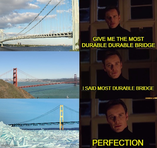 The most durable bridge | GIVE ME THE MOST DURABLE DURABLE BRIDGE; I SAID MOST DURABLE BRIDGE; PERFECTION | image tagged in perfection,bridge,memes | made w/ Imgflip meme maker