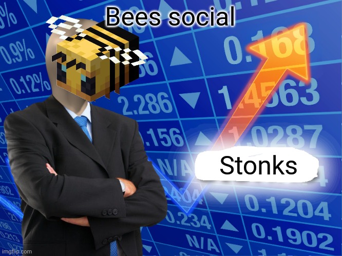 Empty Stonks | Bees social Stonks | image tagged in empty stonks | made w/ Imgflip meme maker