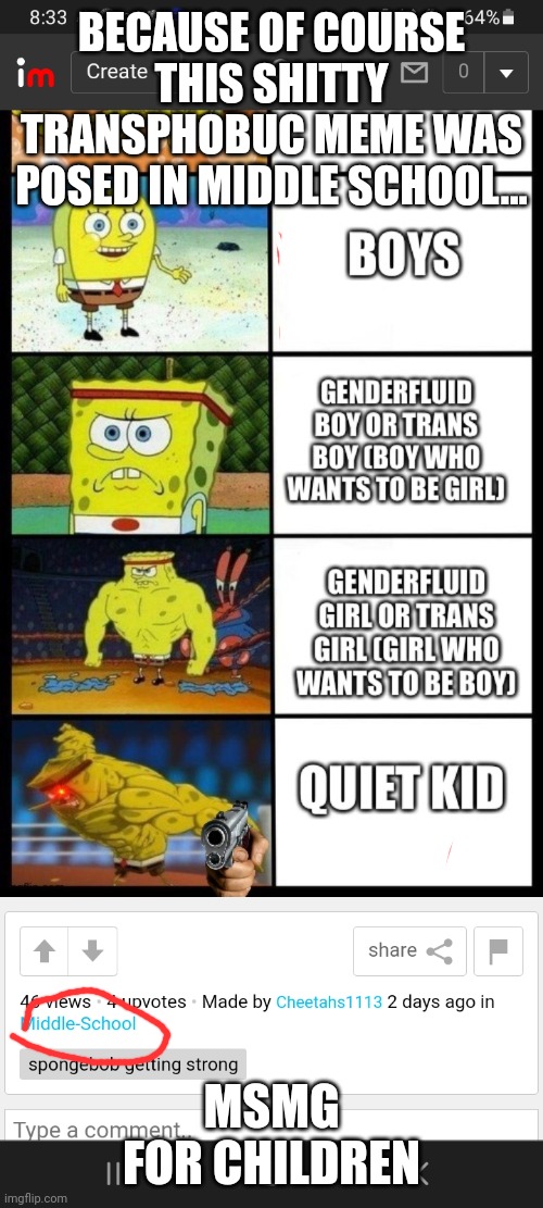 The title was different genders in sports and the top is a girl. Look in comments 4 what I comented |  BECAUSE OF COURSE THIS SHITTY TRANSPHOBUC MEME WAS POSED IN MIDDLE SCHOOL... MSMG FOR CHILDREN | made w/ Imgflip meme maker