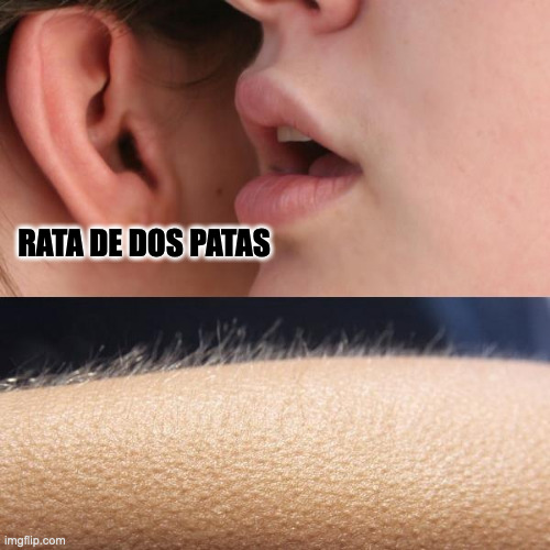Whisper and Goosebumps | RATA DE DOS PATAS | image tagged in whisper and goosebumps,memes,funny,relatable,memenade,spanish | made w/ Imgflip meme maker