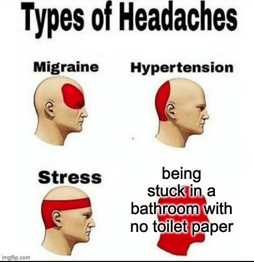 pain 1000 | being stuck in a bathroom with no toilet paper | image tagged in types of headaches meme,toilet paper,toilet,funny,bathroom | made w/ Imgflip meme maker