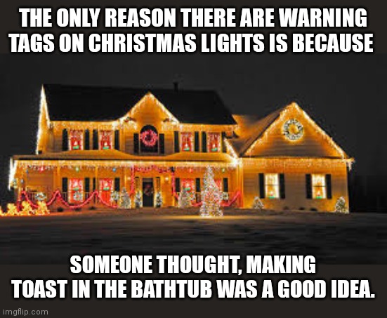 Christmas | THE ONLY REASON THERE ARE WARNING TAGS ON CHRISTMAS LIGHTS IS BECAUSE; SOMEONE THOUGHT, MAKING TOAST IN THE BATHTUB WAS A GOOD IDEA. | image tagged in christmas lights | made w/ Imgflip meme maker