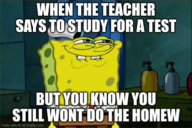 ai is stupid | WHEN THE TEACHER SAYS TO STUDY FOR A TEST; BUT YOU KNOW YOU STILL WONT DO THE HOMEW | image tagged in memes,don't you squidward | made w/ Imgflip meme maker