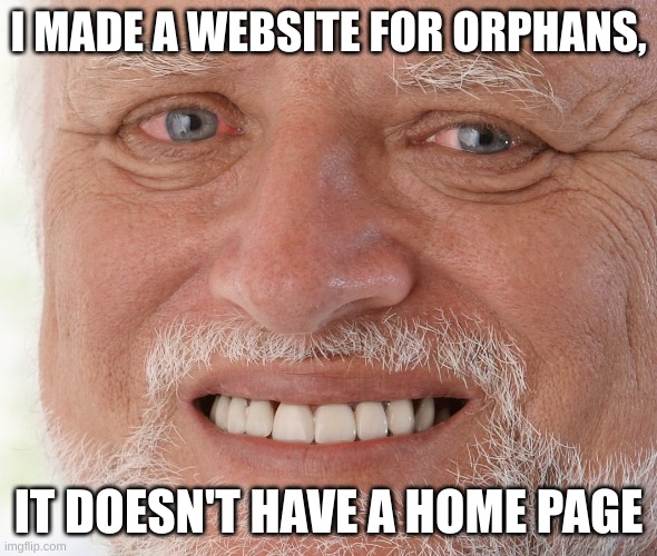 Orphans | I MADE A WEBSITE FOR ORPHANS, IT DOESN'T HAVE A HOME PAGE | image tagged in hide the pain harold | made w/ Imgflip meme maker
