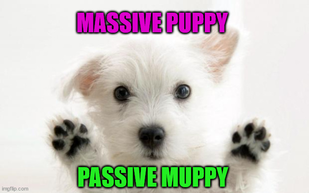 cute dog | MASSIVE PUPPY; PASSIVE MUPPY | image tagged in cute dog | made w/ Imgflip meme maker