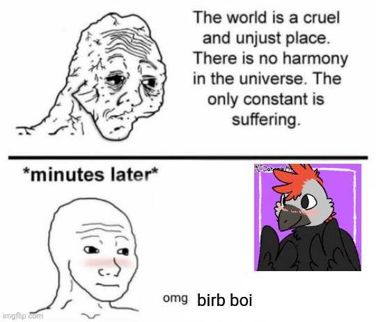 The only constant is suffering | birb boi | image tagged in minutes later omg | made w/ Imgflip meme maker