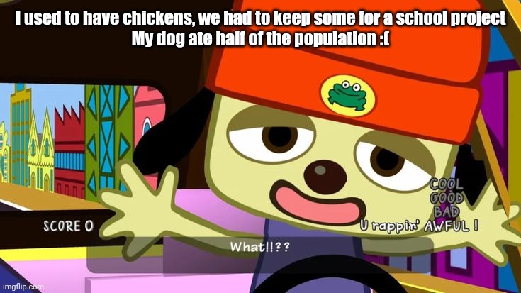 It was very Zad | I used to have chickens, we had to keep some for a school project
My dog ate half of the population :( | image tagged in what | made w/ Imgflip meme maker