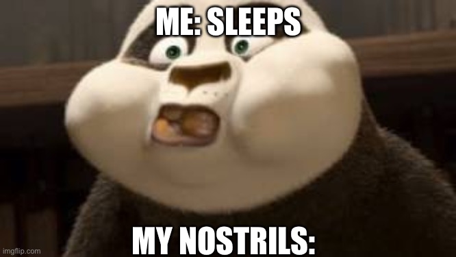 Stuffed face | ME: SLEEPS; MY NOSTRILS: | image tagged in stuffed face | made w/ Imgflip meme maker
