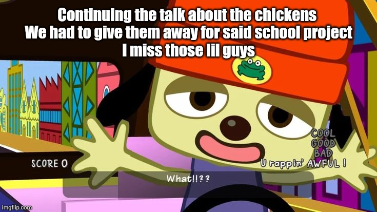 What!!?? | Continuing the talk about the chickens 
We had to give them away for said school project
I miss those lil guys | image tagged in what | made w/ Imgflip meme maker