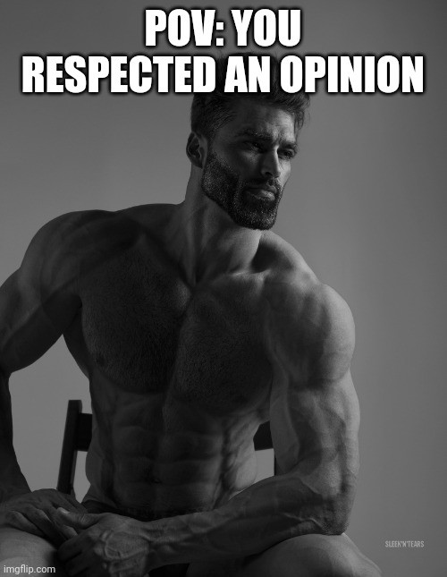 Giga Chad | POV: YOU RESPECTED AN OPINION | image tagged in giga chad | made w/ Imgflip meme maker