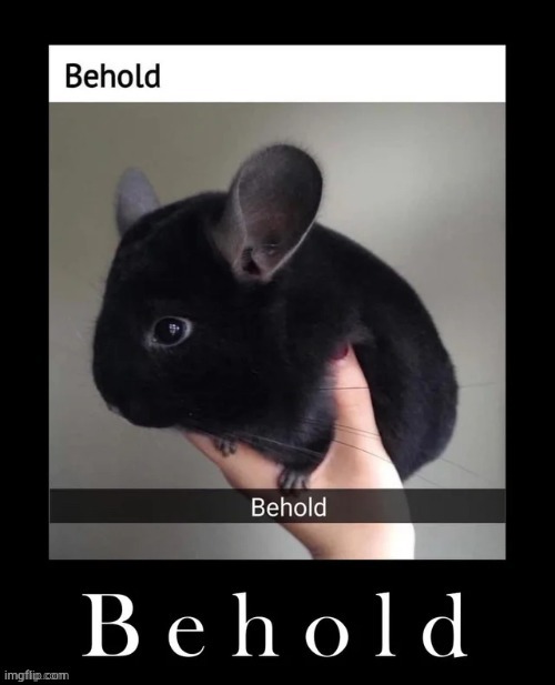 Behold | made w/ Imgflip meme maker