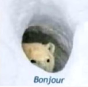 High Quality Bonjour Blank Meme Template