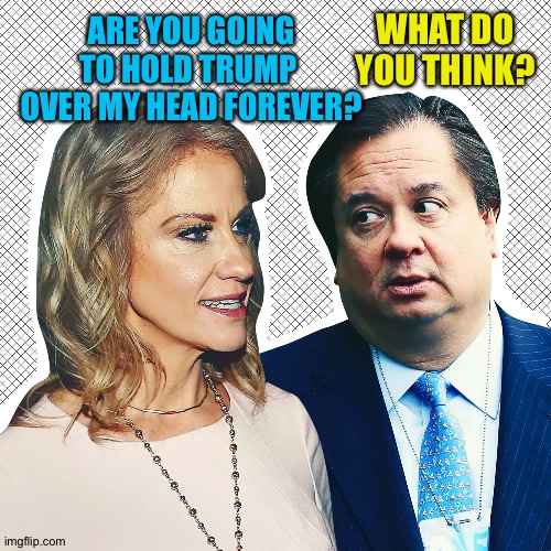 Funtime with George and Kellyanne | WHAT DO YOU THINK? ARE YOU GOING TO HOLD TRUMP 
OVER MY HEAD FOREVER? | image tagged in kellyanne conway and george conway | made w/ Imgflip meme maker