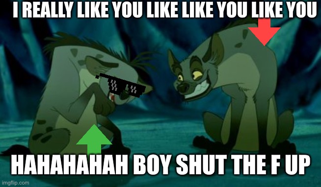 Lion King Hyenas | I REALLY LIKE YOU LIKE LIKE YOU LIKE YOU; HAHAHAHAH BOY SHUT THE F UP | image tagged in lion king hyenas | made w/ Imgflip meme maker