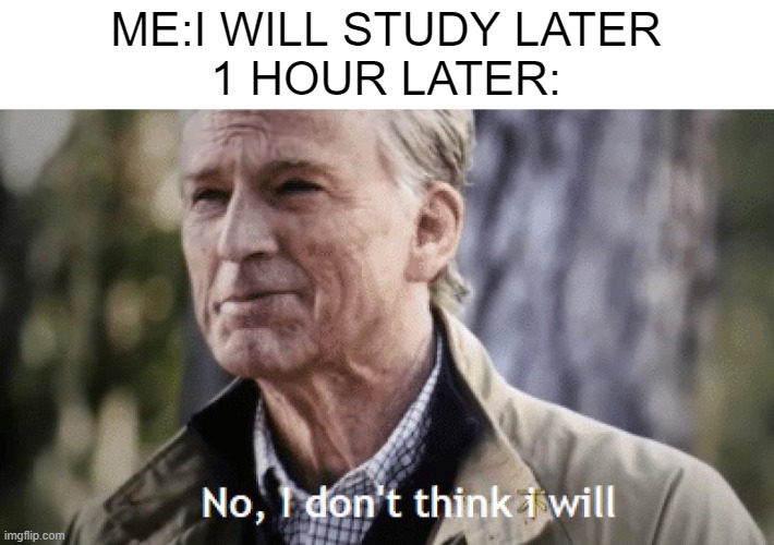 No, i dont think i will | ME:I WILL STUDY LATER
1 HOUR LATER: | image tagged in no i dont think i will,school | made w/ Imgflip meme maker