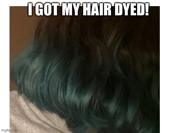 I got my hair dyed! | I GOT MY HAIR DYED! | made w/ Imgflip meme maker