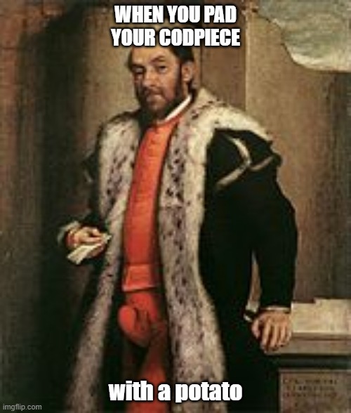 codpiece | WHEN YOU PAD YOUR CODPIECE; with a potato | image tagged in codpiece | made w/ Imgflip meme maker