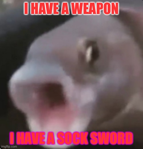 Poggers Fish | I HAVE A WEAPON; I HAVE A SOCK SWORD | image tagged in poggers fish | made w/ Imgflip meme maker
