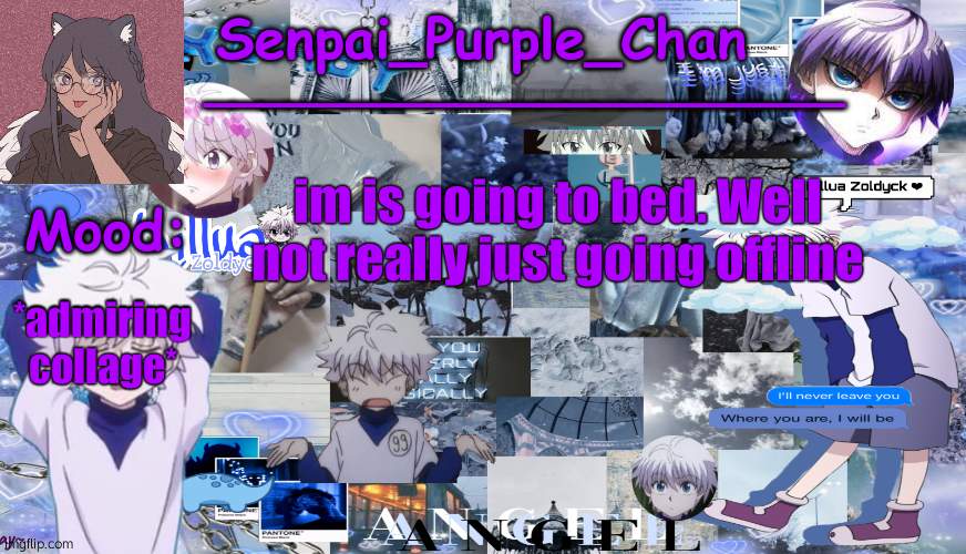 Killua temp (my collage) | *admiring collage*; im is going to bed. Well not really just going offline | image tagged in killua temp my collage | made w/ Imgflip meme maker