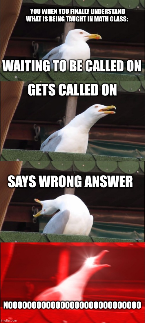 FIRST MEME HOORAY!!!!!!!!!! | YOU WHEN YOU FINALLY UNDERSTAND WHAT IS BEING TAUGHT IN MATH CLASS:; WAITING TO BE CALLED ON; GETS CALLED ON; SAYS WRONG ANSWER; NOOOOOOOOOOOOOOOOOOOOOOOOOOOO | image tagged in memes,inhaling seagull | made w/ Imgflip meme maker