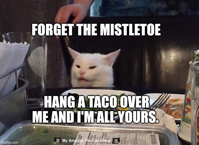 FORGET THE MISTLETOE; HANG A TACO OVER ME AND I'M ALL YOURS. | image tagged in smudge the cat | made w/ Imgflip meme maker