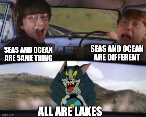 Tom chasing Harry and Ron Weasly | SEAS AND OCEAN ARE SAME THING SEAS AND OCEAN ARE DIFFERENT ALL ARE LAKES | image tagged in tom chasing harry and ron weasly | made w/ Imgflip meme maker