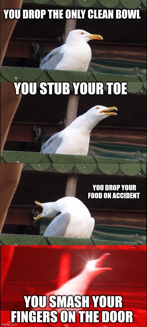 All of these accidents have happen to me once | YOU DROP THE ONLY CLEAN BOWL; YOU STUB YOUR TOE; YOU DROP YOUR FOOD ON ACCIDENT; YOU SMASH YOUR FINGERS ON THE DOOR | image tagged in memes,inhaling seagull | made w/ Imgflip meme maker