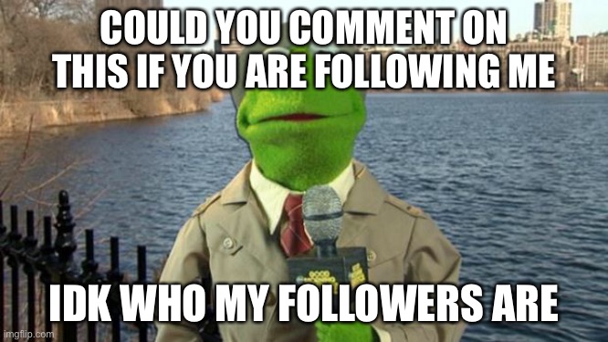 Kermit News Report | COULD YOU COMMENT ON THIS IF YOU ARE FOLLOWING ME; IDK WHO MY FOLLOWERS ARE | image tagged in kermit news report | made w/ Imgflip meme maker