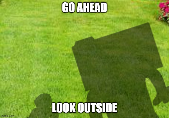 GO AHEAD; LOOK OUTSIDE | made w/ Imgflip meme maker