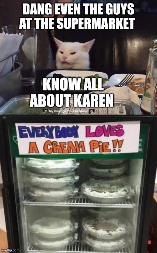DANG EVEN THE GUYS AT THE SUPERMARKET; KNOW ALL ABOUT KAREN | image tagged in smudge the cat | made w/ Imgflip meme maker