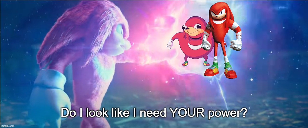 knuckles vs sonic | Do I look like I need YOUR power? | image tagged in knuckles vs sonic | made w/ Imgflip meme maker
