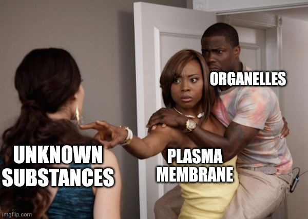 Protected Kevin Hart | ORGANELLES; UNKNOWN SUBSTANCES; PLASMA MEMBRANE | image tagged in protected kevin hart | made w/ Imgflip meme maker